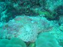 DSC00260.JPG