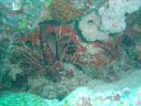 DSC00363.JPG
