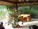 DSC00443.JPG