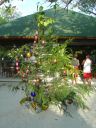DSC00446.JPG