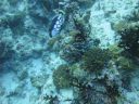 DSC00018.JPG