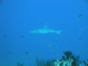 DSC00482.JPG