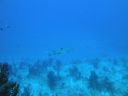 DSC00315.JPG