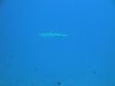 DSC00410.JPG
