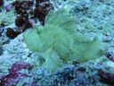 DSC00440.JPG