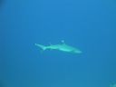 DSC00579.JPG
