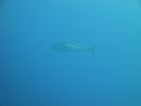 DSC00602.JPG