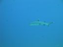 DSC00608.JPG