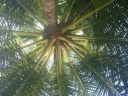 DSC00091-3.JPG