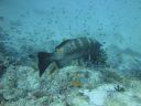 DSC00028.JPG
