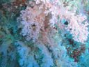 DSC00031.JPG