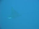 DSC00315.JPG