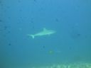 DSC00418.JPG