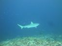 DSC00459.JPG
