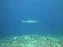 DSC00472.JPG