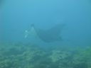 DSC00743.JPG