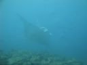 DSC00771.JPG