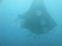 DSC00833.JPG