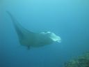 DSC01118.JPG