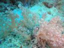 DSC01156.JPG