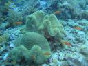 DSC01160.JPG