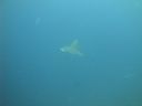 DSC01227.JPG