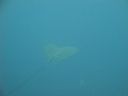 DSC01230.JPG