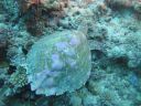 DSC01244.JPG