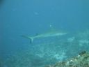 DSC01324.JPG