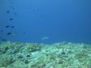 DSC01408.JPG