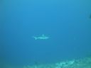 DSC01485.JPG