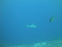 DSC01487.JPG