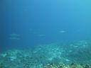 DSC01501.JPG