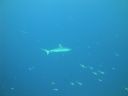 DSC01551.JPG