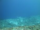 DSC01568.JPG