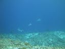 DSC01578.JPG