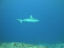 DSC01586.JPG