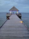 DSC01594.JPG