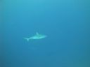 DSC01606.JPG