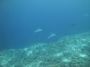 DSC01620.JPG