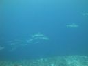 DSC01646.JPG