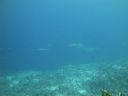 DSC01791.JPG