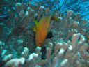 DSC00034.JPG