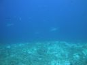 DSC00198.JPG