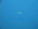 DSC00323.JPG