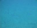 DSC00715.JPG