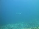 DSC01101.JPG