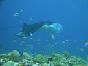 DSC00158.JPG
