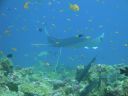 DSC00305.JPG
