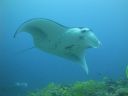 DSC00447.JPG
